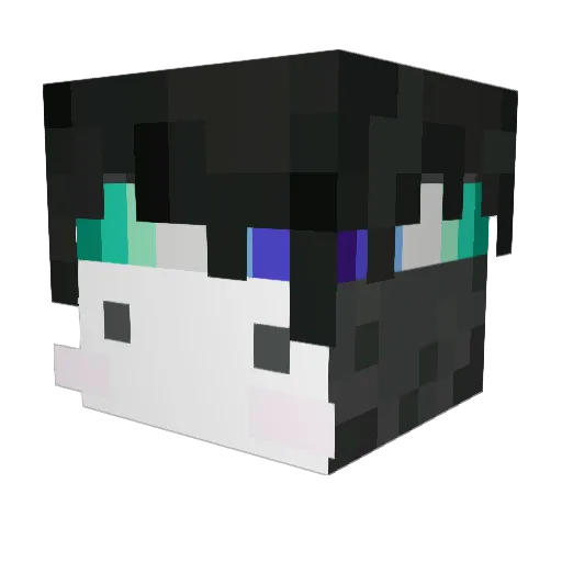 cheezburgir Minecraft avatar head, 3D render