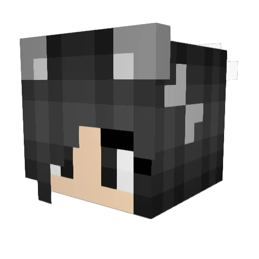 cheeznaut Minecraft avatar head, 3D render