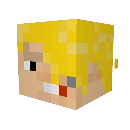 chef_dank Minecraft avatar head, 3D render