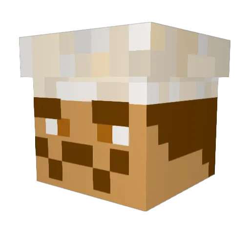 cheferic1 Minecraft avatar head, 3D render