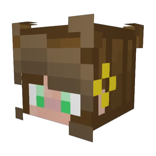 chellevis Minecraft avatar head, 3D render