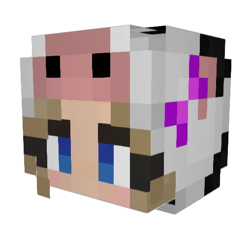 cheloceann14 Minecraft avatar head, 3D render