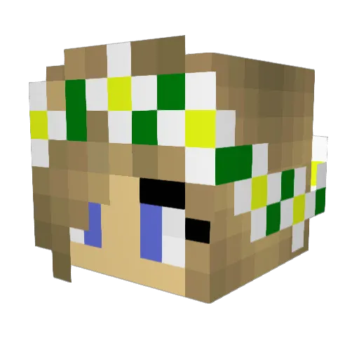 chem11 Minecraft avatar head, 3D render