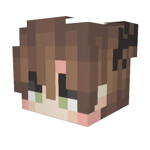 cheol2 Minecraft avatar head, 3D render