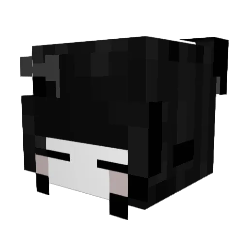 cheonsan Minecraft avatar head, 3D render
