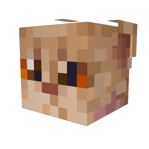 chernikoo0 Minecraft avatar head, 3D render