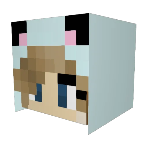 cherri_blossom01 Minecraft avatar head, 3D render