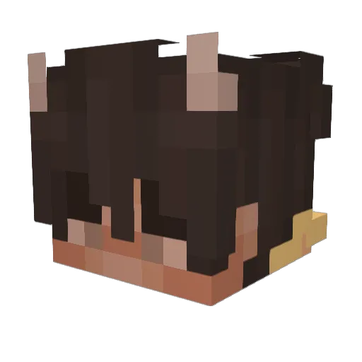 cherrieCola_ Minecraft avatar head, 3D render