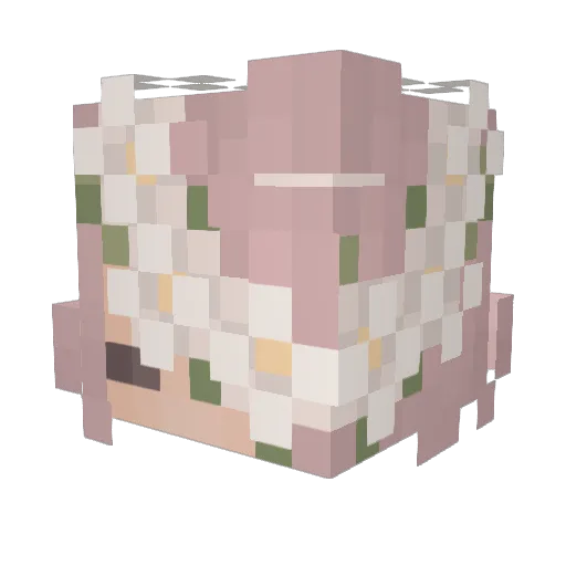 cherry0331 Minecraft avatar head, 3D render