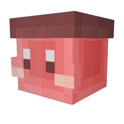 cherry1154 Minecraft avatar head, 3D render