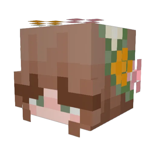 cherryiscrafty Minecraft avatar head, 3D render