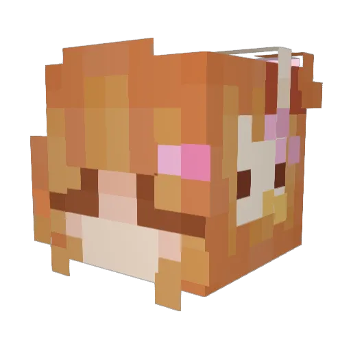 cherrykats Minecraft avatar head, 3D render
