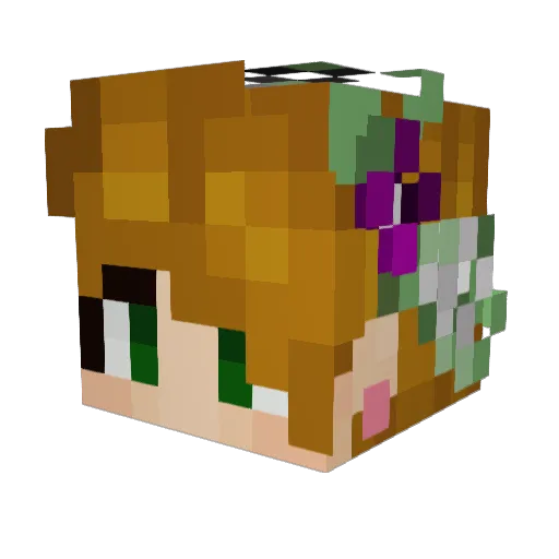 cherrykelp Minecraft avatar head, 3D render