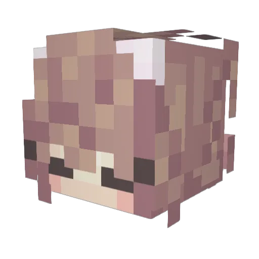 cherrys_dad Minecraft avatar head, 3D render
