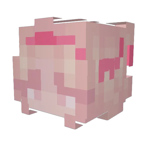 cherrytooth Minecraft avatar head, 3D render