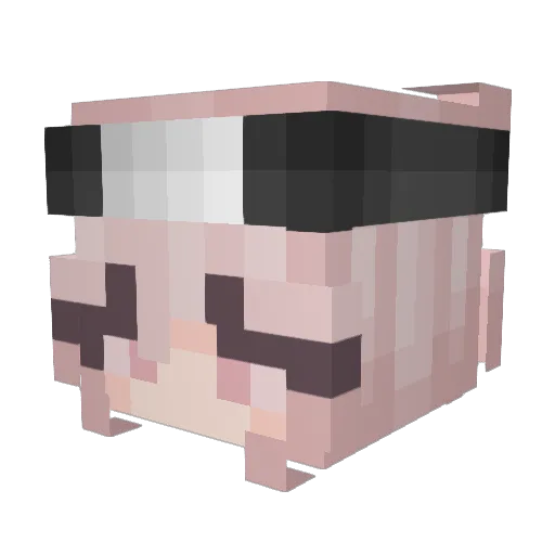 cherryyboba Minecraft avatar head, 3D render