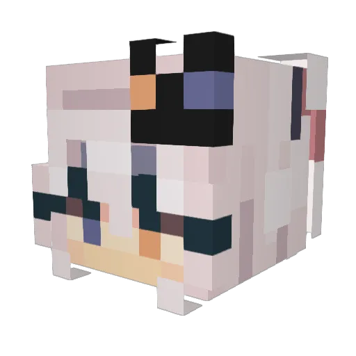 cherryycake Minecraft avatar head, 3D render