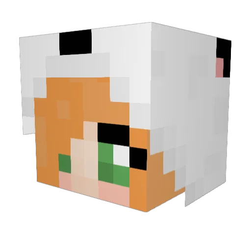 cheryblossom2561 Minecraft avatar head, 3D render