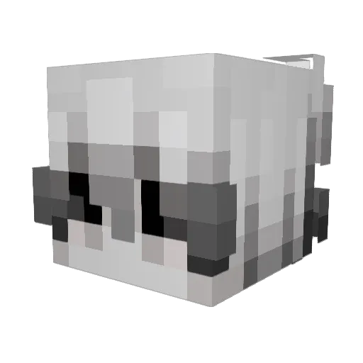 cheseburger4886 Minecraft avatar head, 3D render