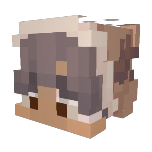 chessyseal Minecraft avatar head, 3D render