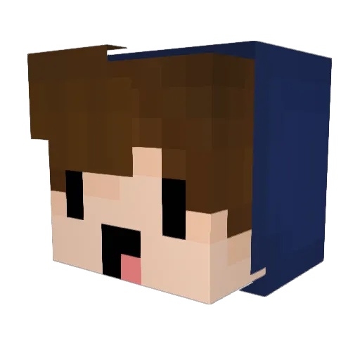 chester216 Minecraft avatar head, 3D render