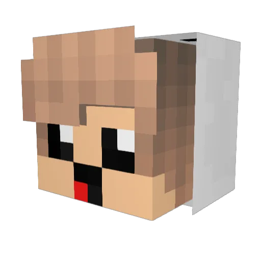 chester4890 Minecraft avatar head, 3D render