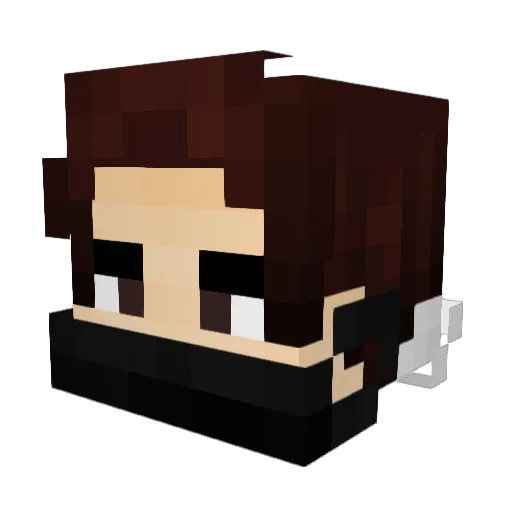 chestik Minecraft avatar head, 3D render