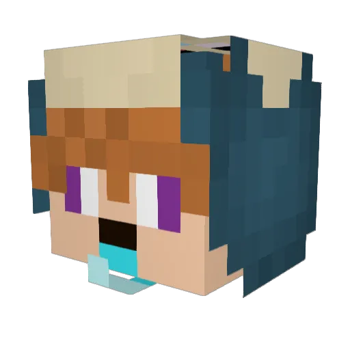 chewbacca0503 Minecraft avatar head, 3D render