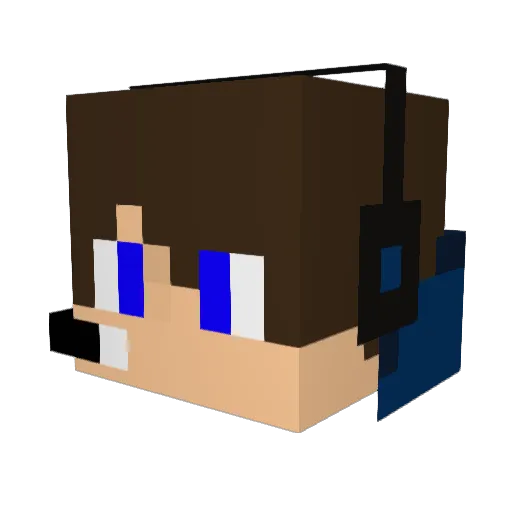chewbacca612 Minecraft avatar head, 3D render