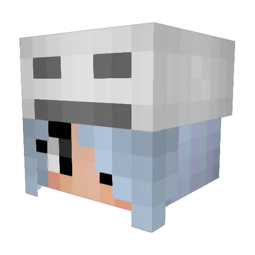 cheweyr Minecraft avatar head, 3D render
