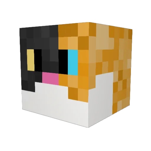chewie1273 Minecraft avatar head, 3D render