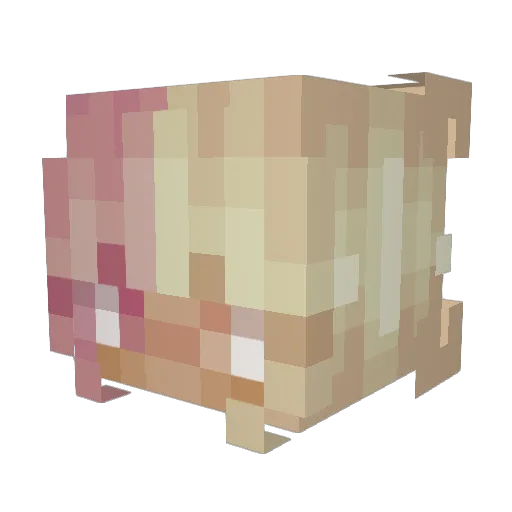 chewie_epic Minecraft avatar head, 3D render