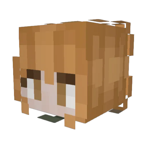 cheyennepepper04 Minecraft avatar head, 3D render