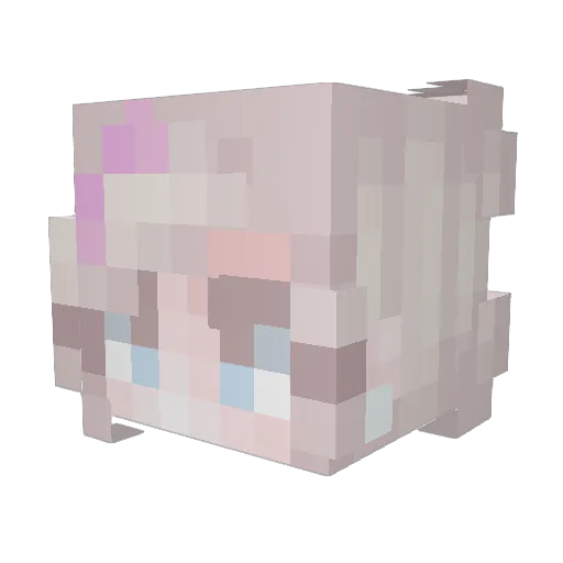 cheythefrog Minecraft avatar head, 3D render