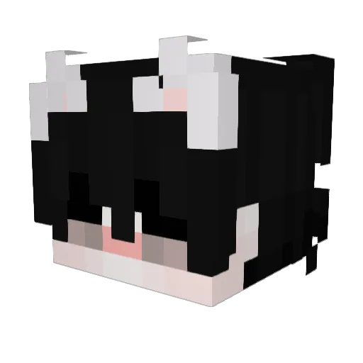 chez_curd Minecraft avatar head, 3D render