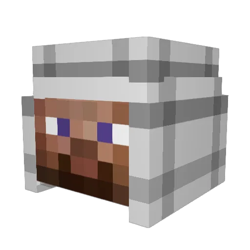 chezzburger_ Minecraft avatar head, 3D render