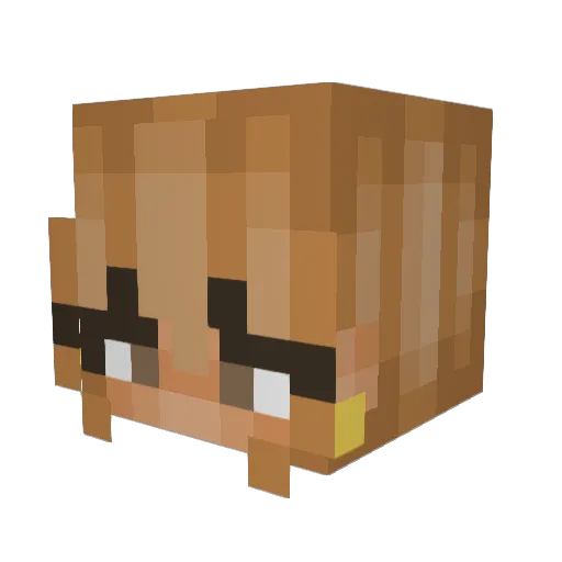 chg21 Minecraft avatar head, 3D render