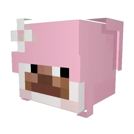 chi_kkan Minecraft avatar head, 3D render