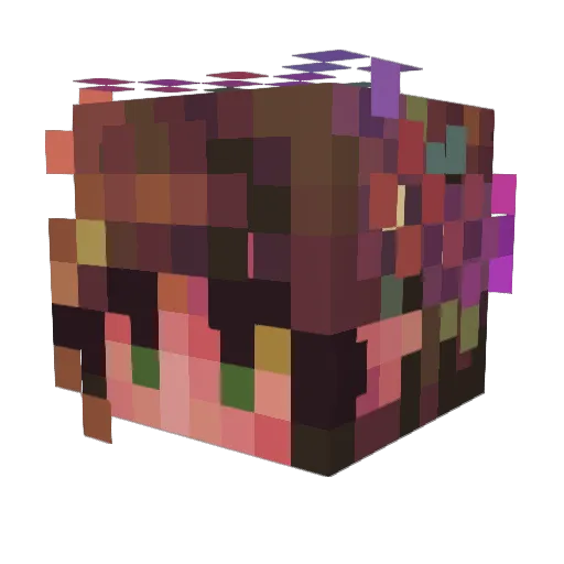 chiccles_ Minecraft avatar head, 3D render