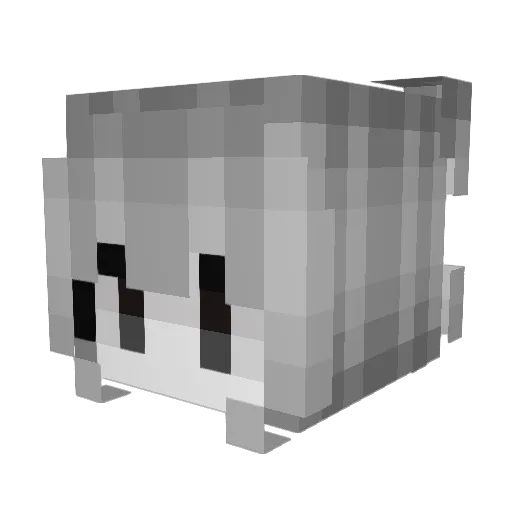 chichi244 Minecraft avatar head, 3D render