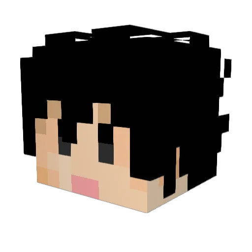 chichi_why Minecraft avatar head, 3D render