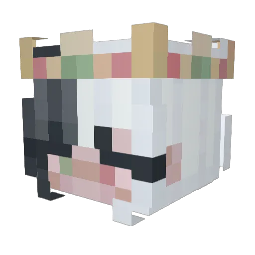 chichipasta Minecraft avatar head, 3D render
