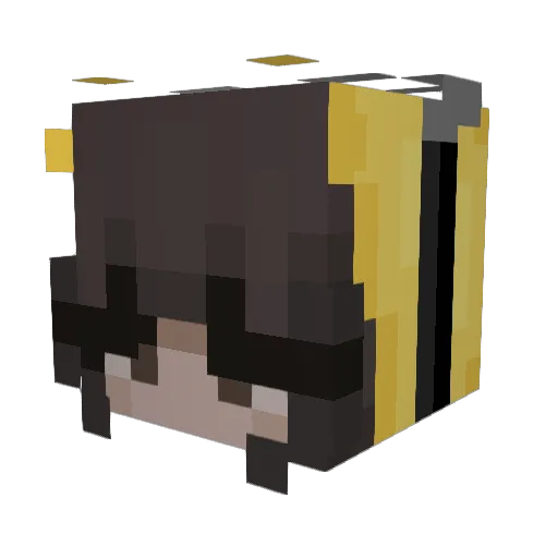 chickadee18coco Minecraft avatar head, 3D render