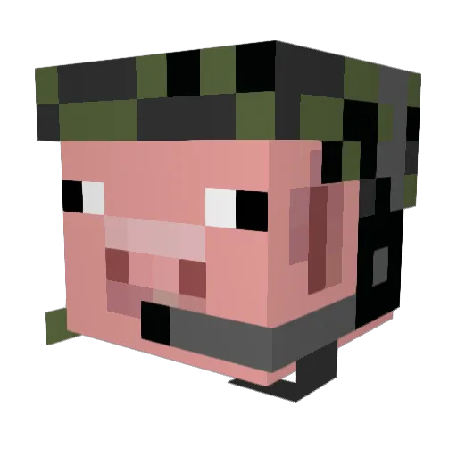 chickbuscus Minecraft avatar head, 3D render