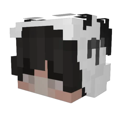 chicken0416 Minecraft avatar head, 3D render