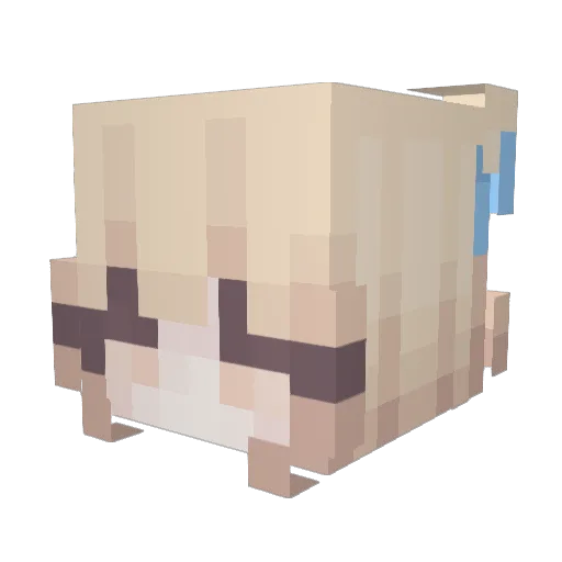 chicken12349 Minecraft avatar head, 3D render