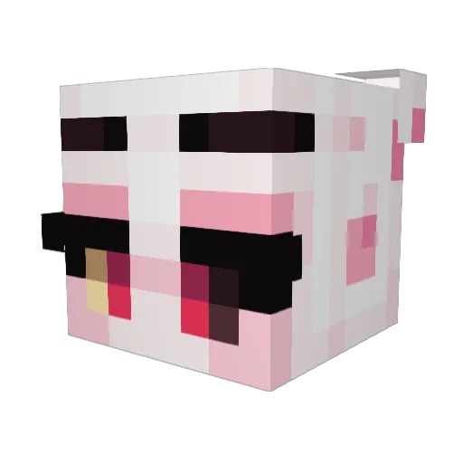 chicken8172 Minecraft avatar head, 3D render