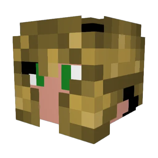chickenAh0407 Minecraft avatar head, 3D render