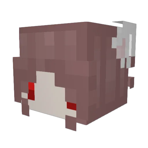 chicken_6969 Minecraft avatar head, 3D render