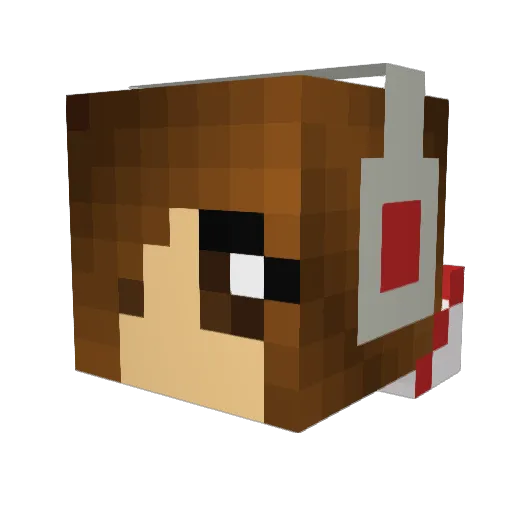 chicken_coop1 Minecraft avatar head, 3D render